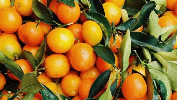Have You Tried These Different Types Of Oranges?