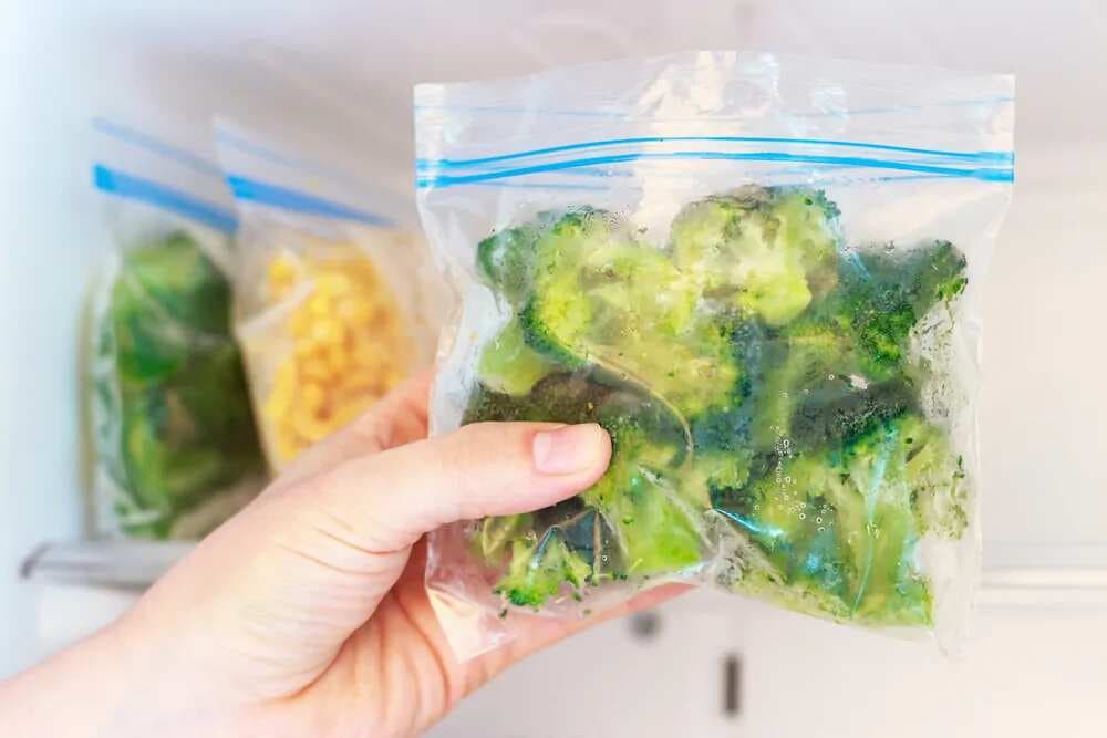 Tips To Freeze The Leftovers, Here’s What To Keep In Mind 