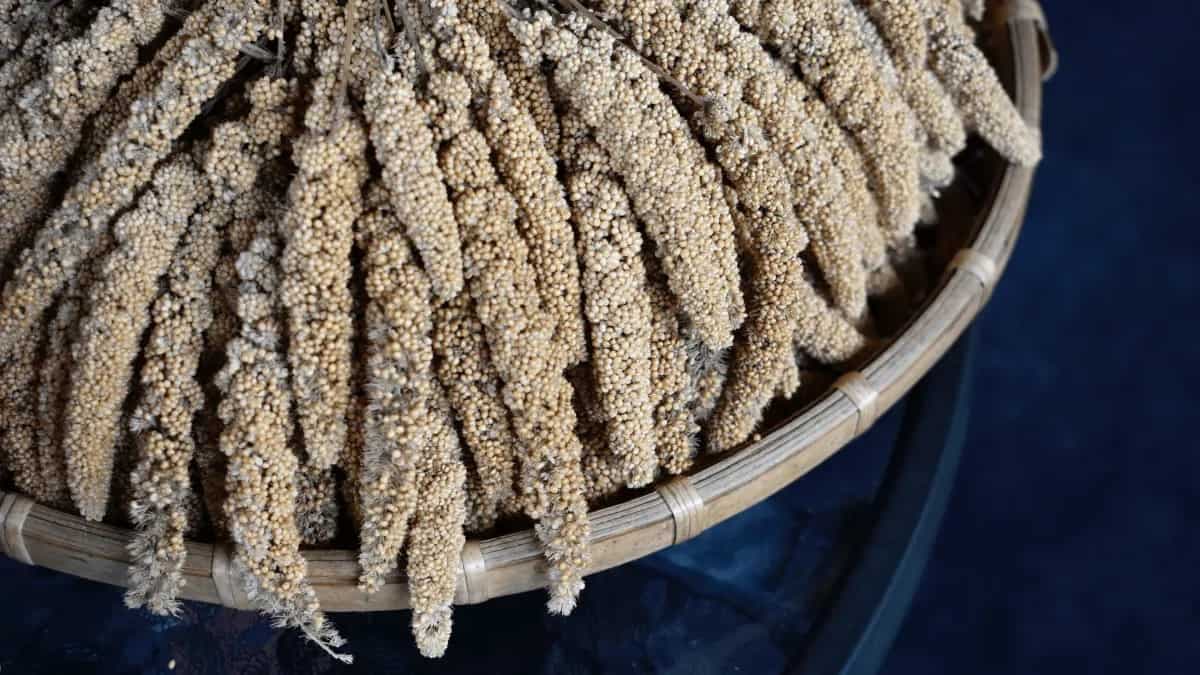 3 Healthy Swaps For Millets And Their Benefits