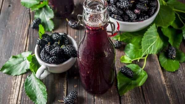 Mulberry Spritzer Cocktail: A Perfect Start To Summer