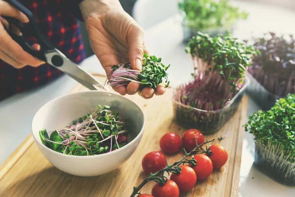 This Happens If You Add Microgreens To Your Diet
