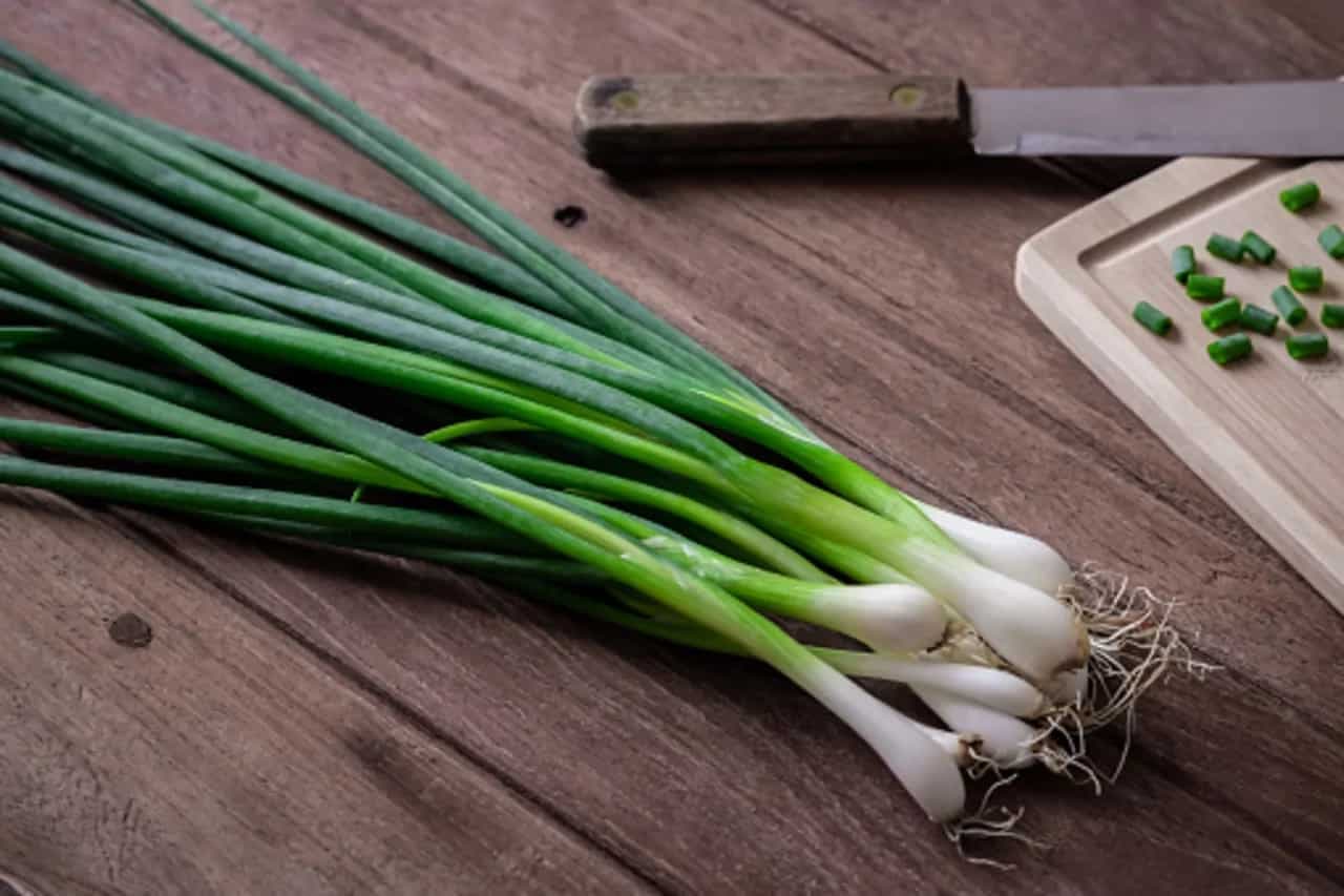 Kitchen Tips: How To Store Spring Onions