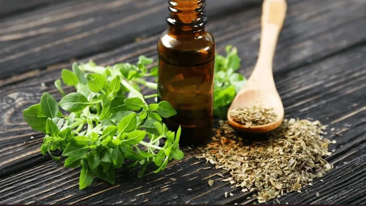 Why Oregano Oil Deserves A Place In The Kitchen Arsenal