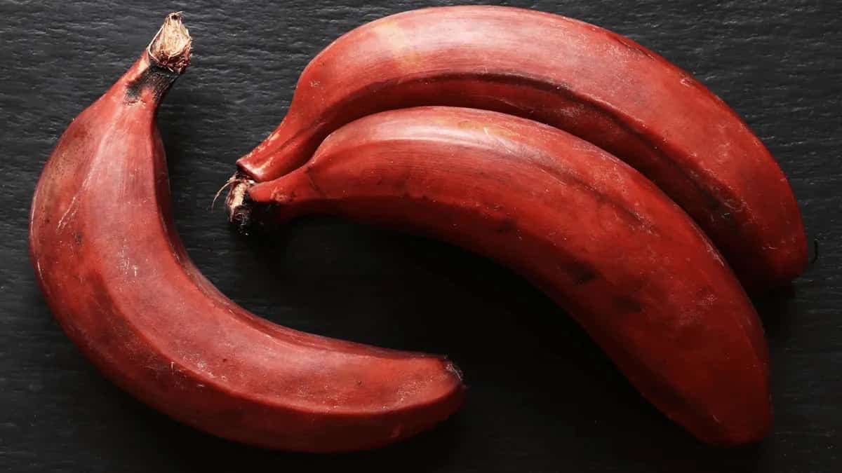 Red Dacca Or Red Bananas And Their Secrets
