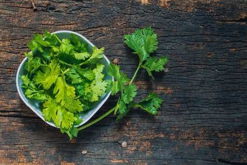 Coriander Stem Sauce, Know More About Its Uses 