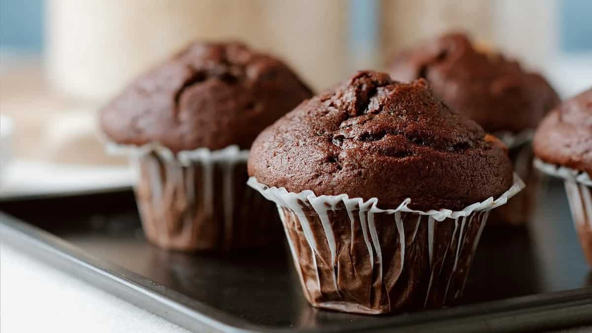 On Chocolate Cupcake Day, A Bite-Sized Brief