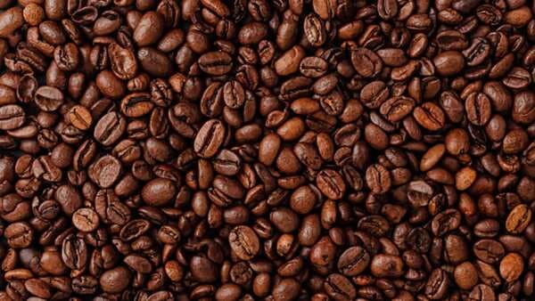 Robusta Vs Arabica: 5 Key Differences Between The Coffee Beans