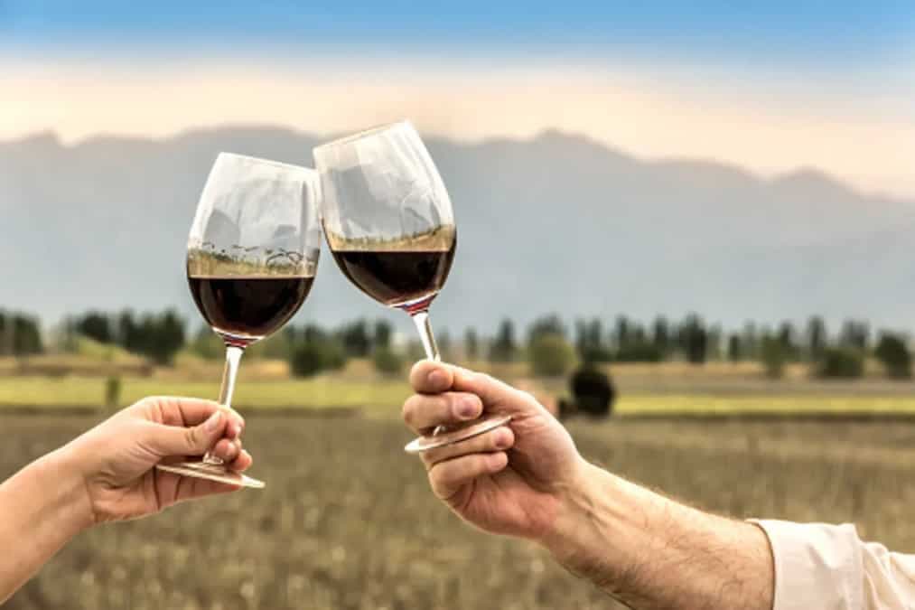 Everything You Need To Know About Malbec Wine