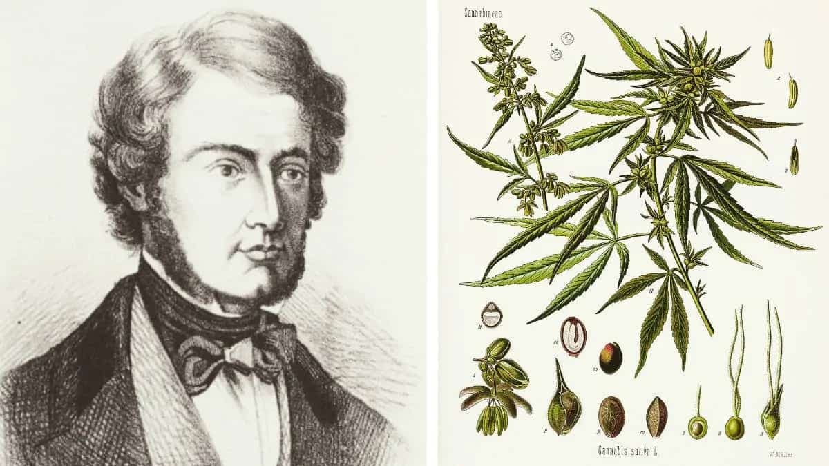 This Irish Physician Was An Expert On Bhang In 19th C. India