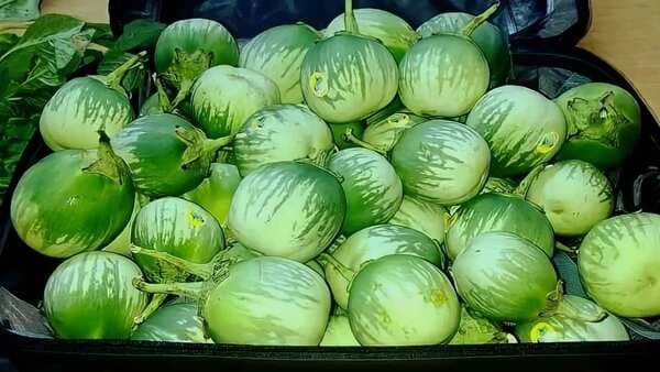 Meet Mattu Gulla, A Unique Native Vegetable From Karnataka