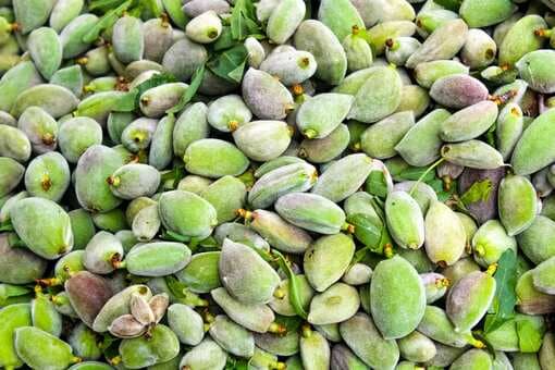 5 Health Benefits Of Raw Green Almonds And Their Culinary Uses