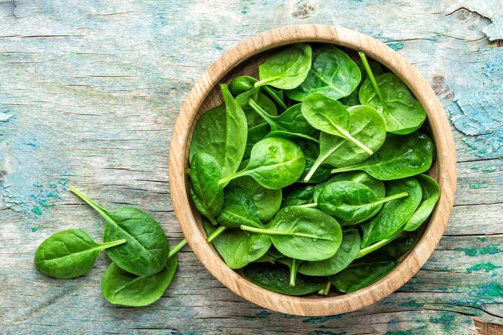 Enjoy Winters, Make Some Interesting Spinach Based Recipes  