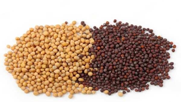 Using Mustard Seeds? Black, Brown Or Yellow, Which One Is Best?