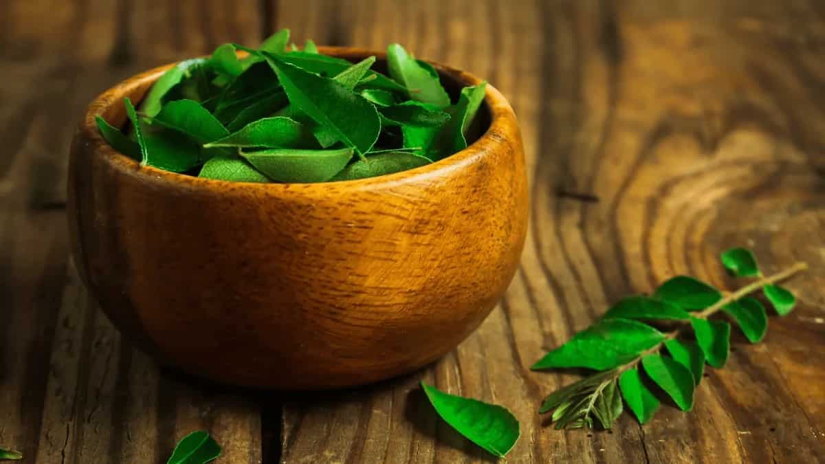 7 Uses Of Curry Leaves In Indian Cooking: Flavors And More 