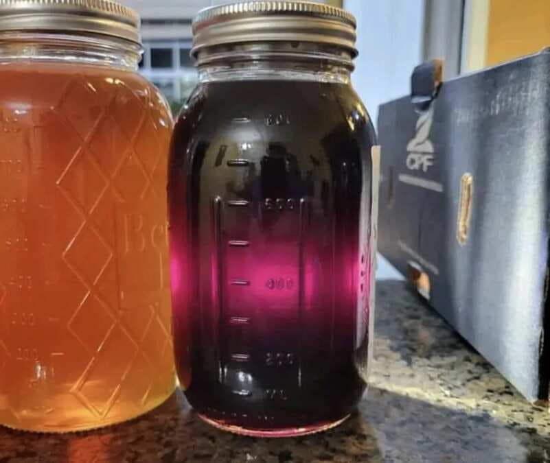 Purple Honey: A Rare Type From North Carolina