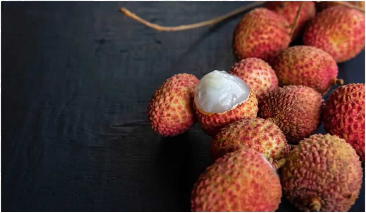 Discover The 8 Popular Litchi Varieties Available In India